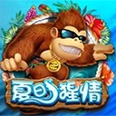 Www.yaxin338.net